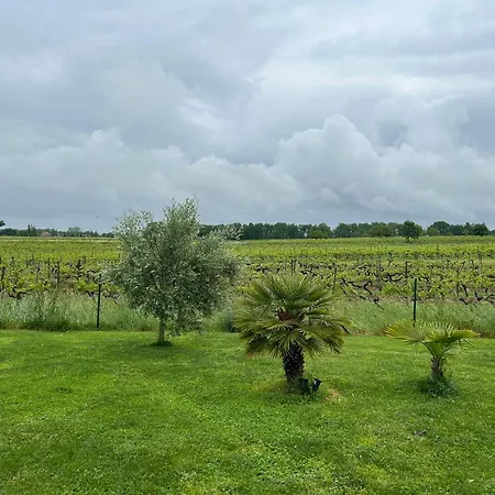Oda ve Kahvaltı Le Chene